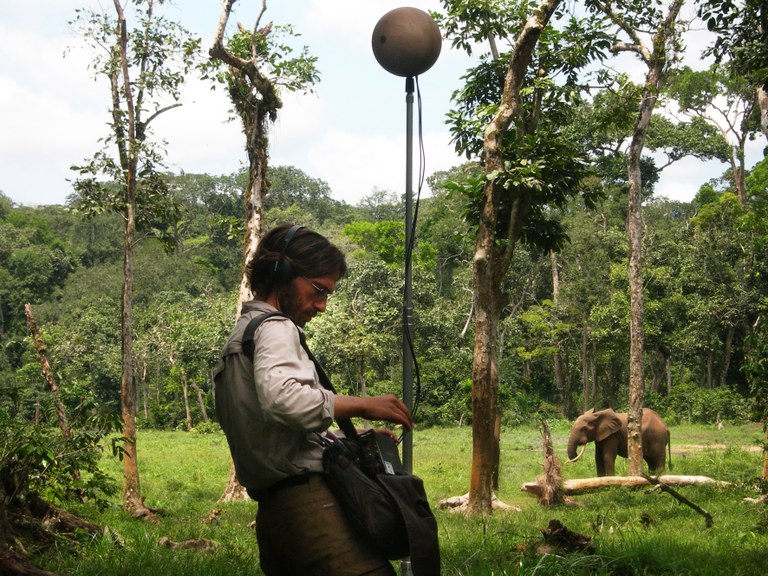 DMonacchi Africa 08 300dpi.jpg